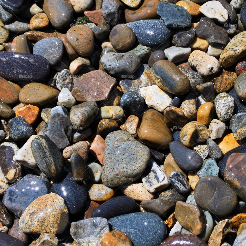 Stones on a beach after the water had washed them clean. Just look at all those colors. 