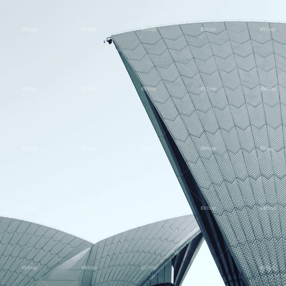 Sydney opera house in a unique view