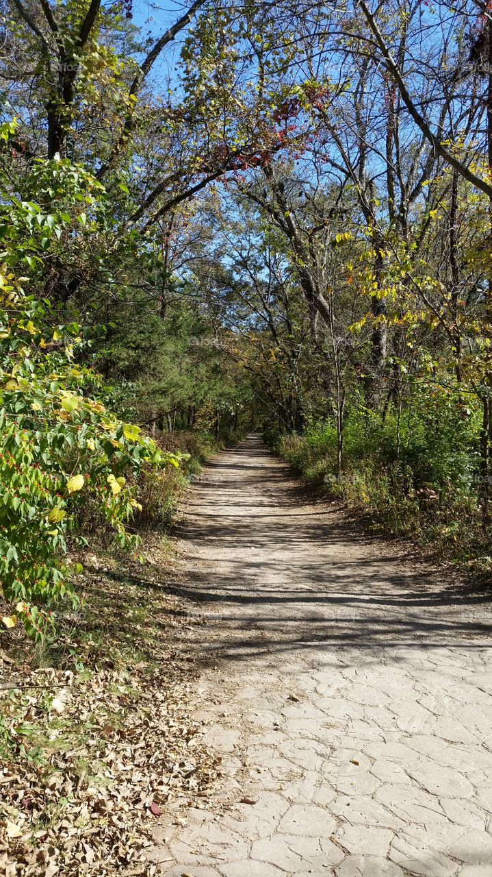 Trail at state park. visiting Starved rock state park