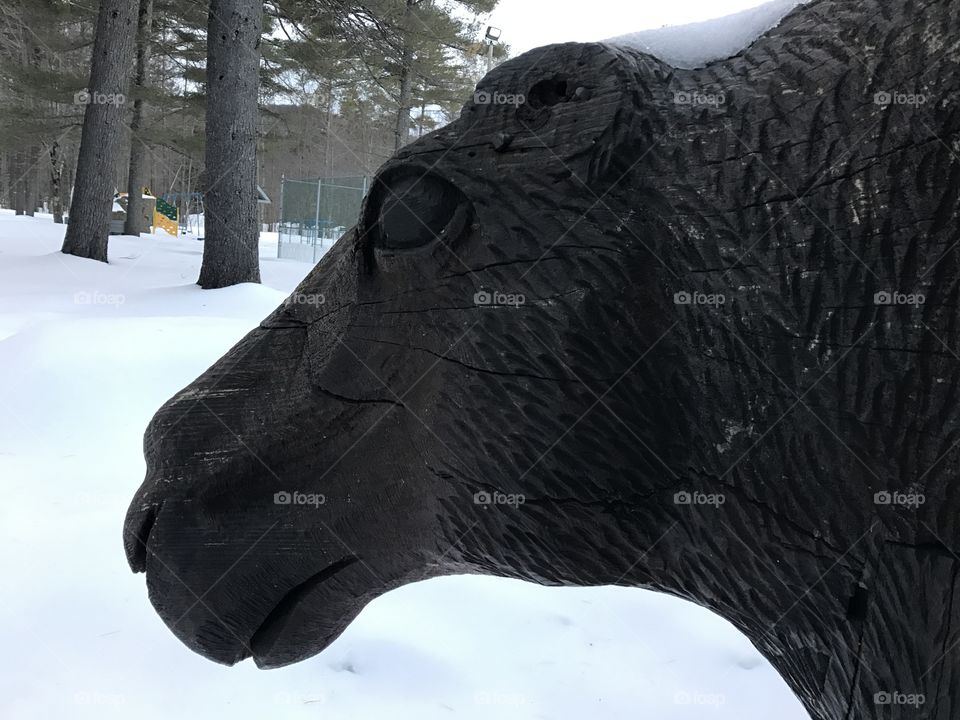 Moose 

Wooden statue