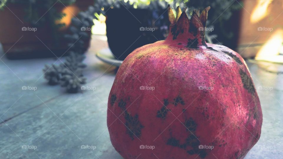 pomegranate