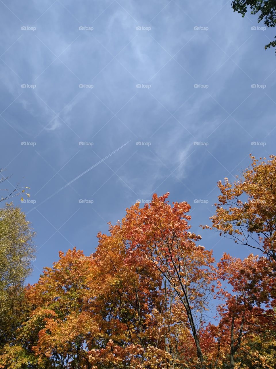 Plane in the blue autumn sky.