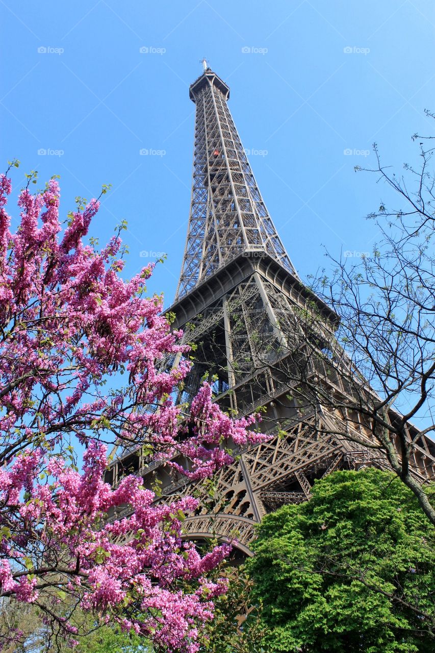 Eiffel Tower 