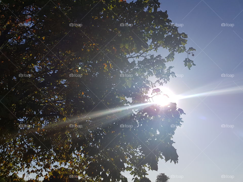 Nice shots in a nice day