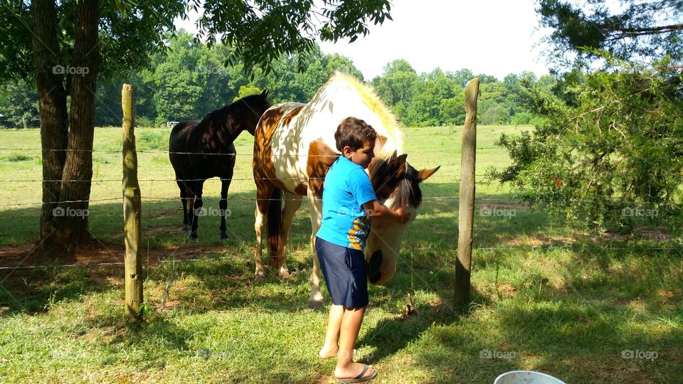 boy. a boy and a horse