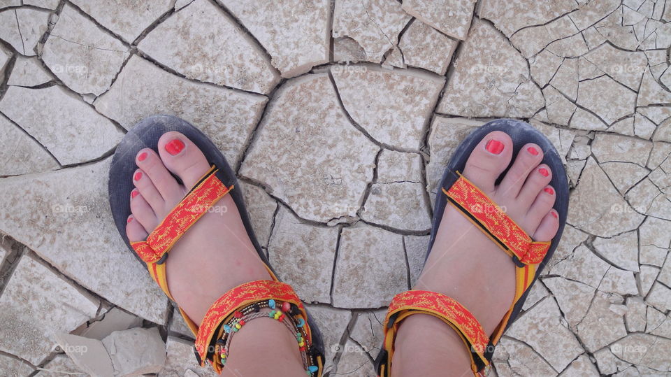 Colored Barren Ground