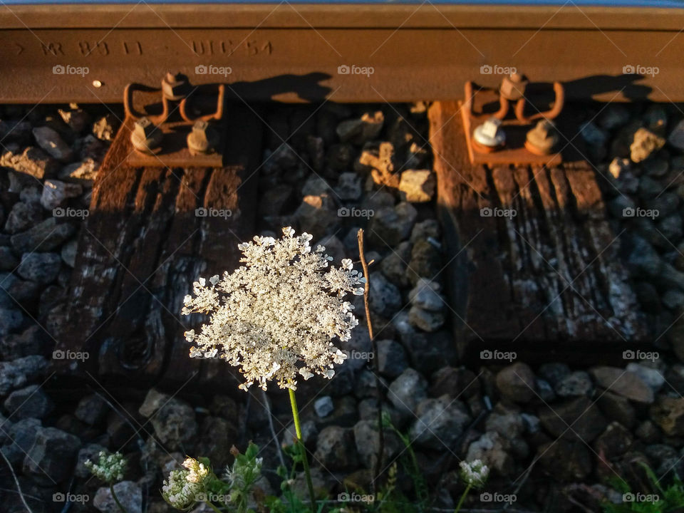 power of nature in railway