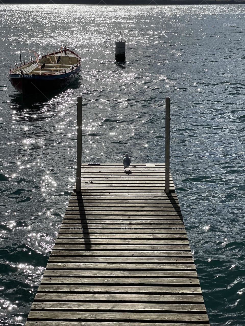 Bird watching the lake from a pier with boat in the background, Lausanne, Switzerland 