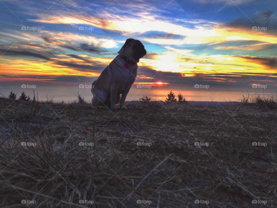 Sunset with a friend