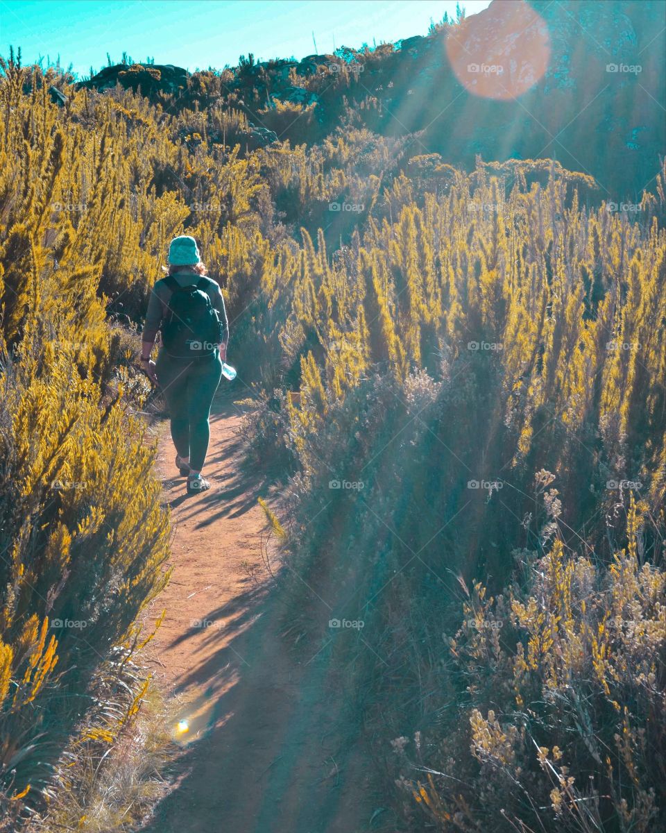 Caminhada solitária e exuberante 