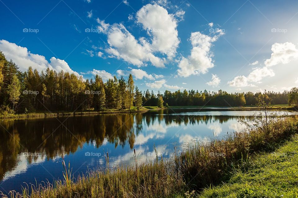 Beautiful nature and views of Estonia