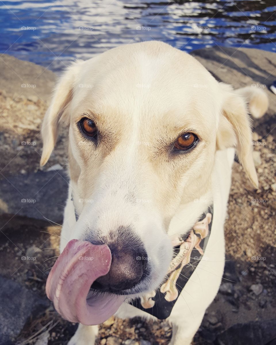 Deep Eyes, Holding
Wisdom Within.