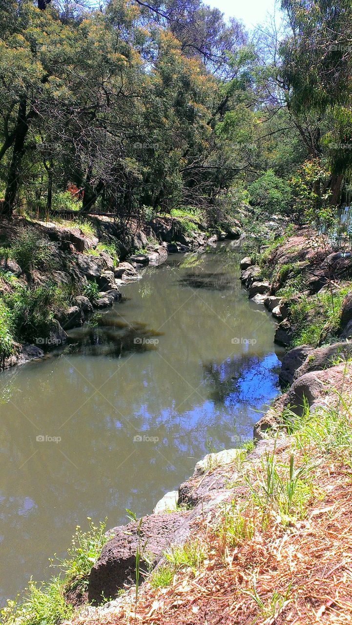 Gardiners creek