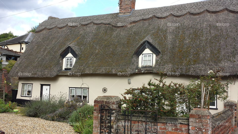 thatched norfolk cottage