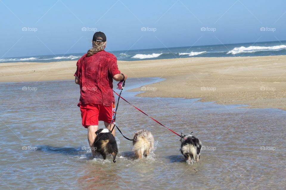 Man walking his three dogs along the ocean shore.