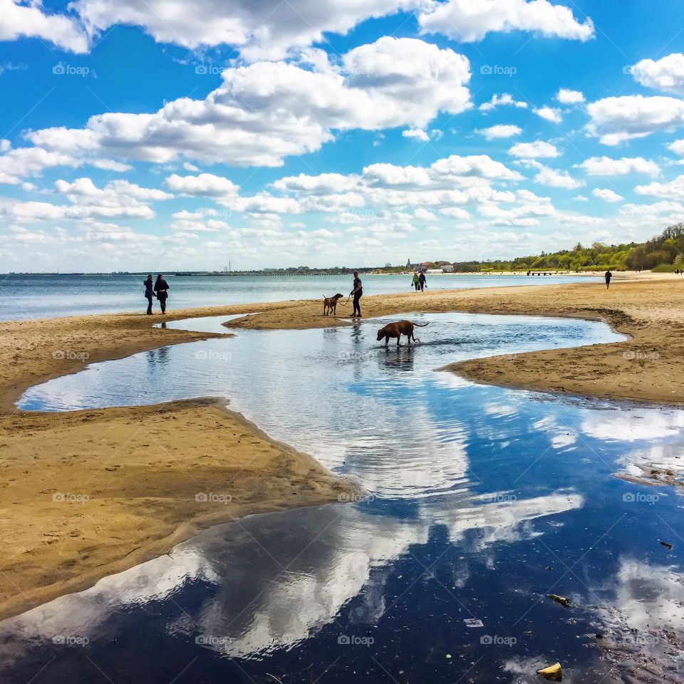 People on beach