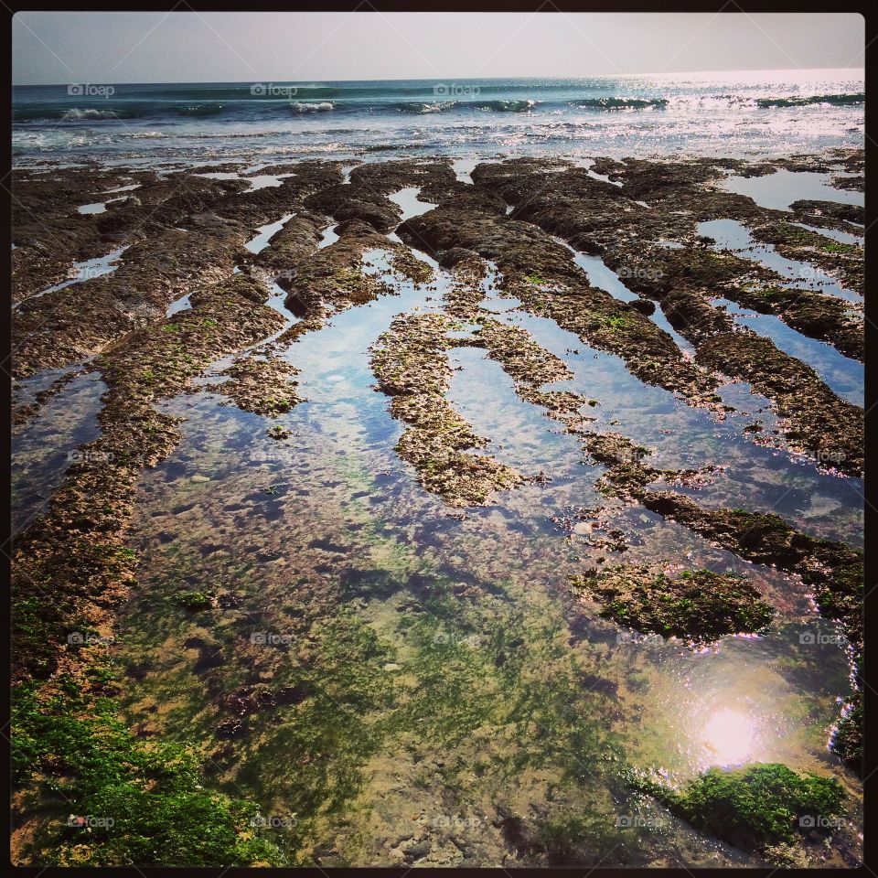 Rockpools. Low tide in bali shows the beauty of nature that the high tide covers 