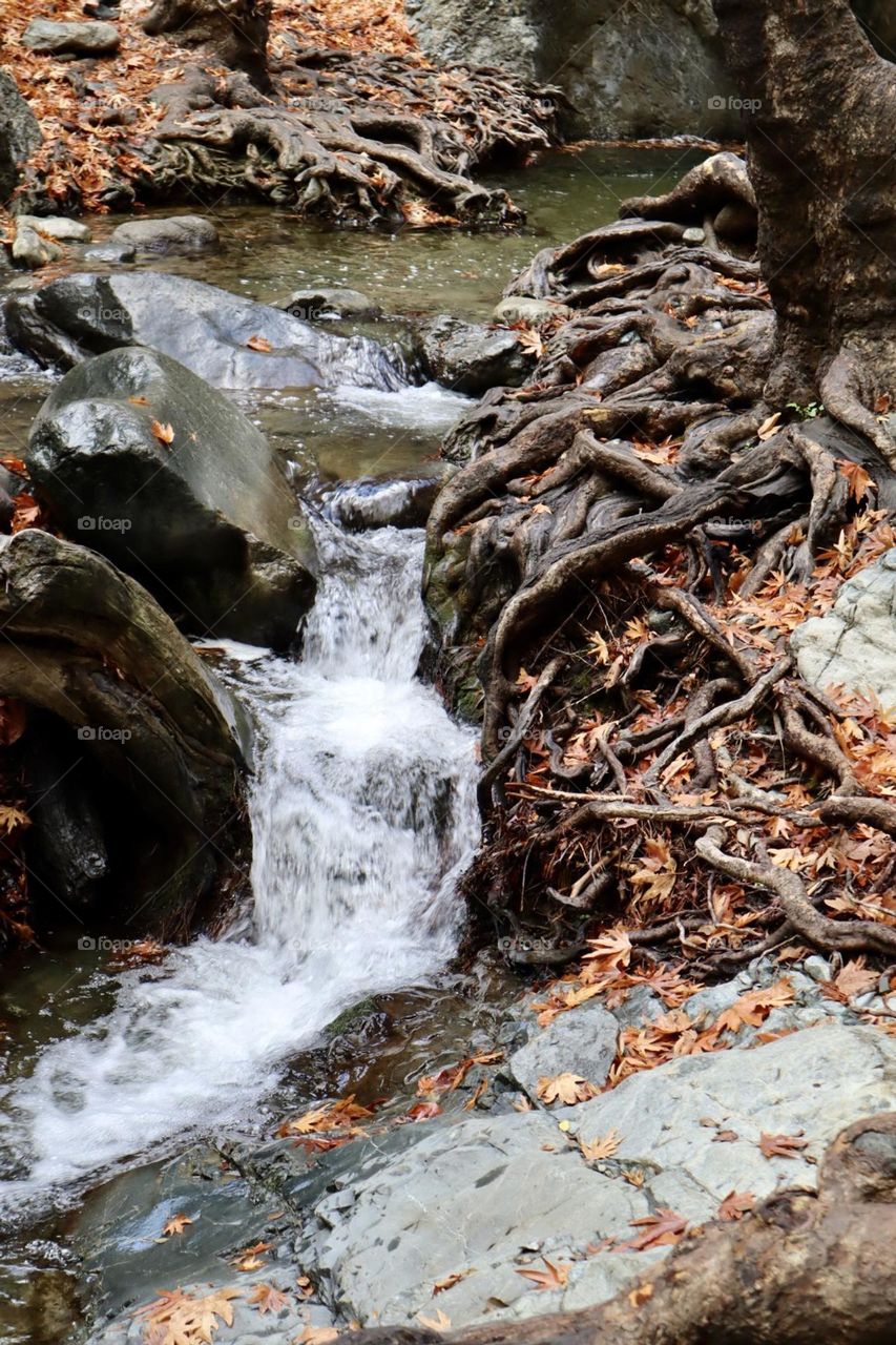 Little waterfall at fall time with dry leaves and trees roots around