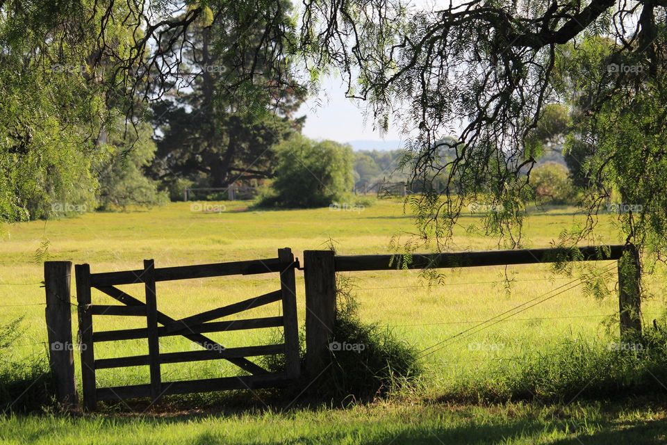 Enjoying a peaceful afternoon by the countryside