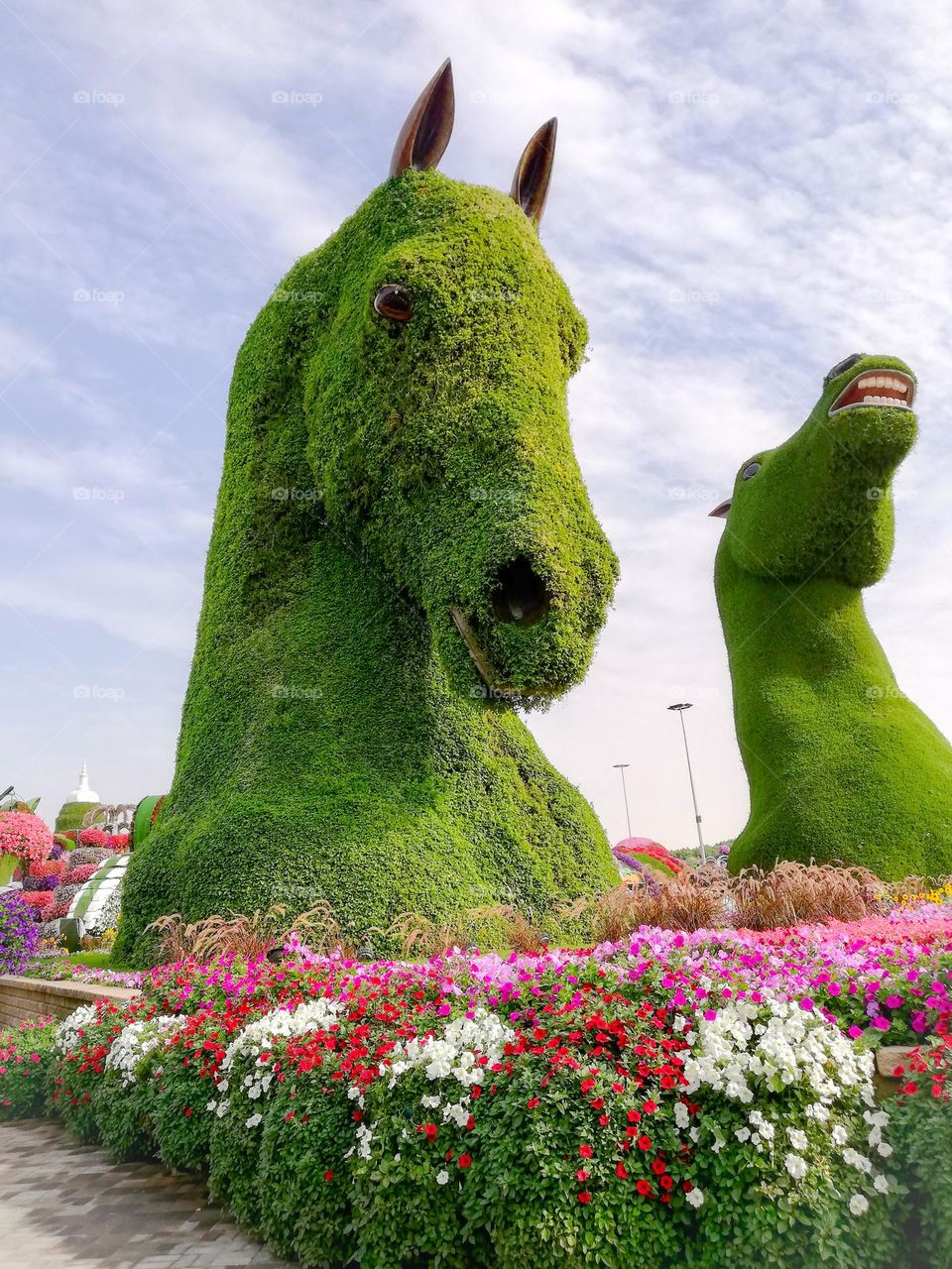 Horse head made with green plant and flowers 