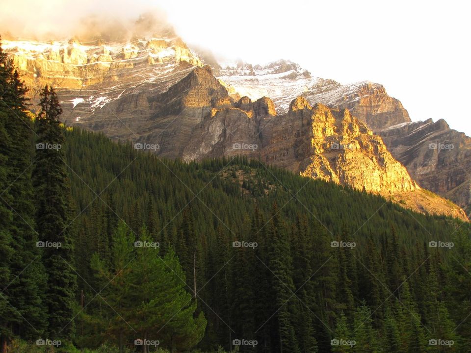 Scenic view of trees and mountains