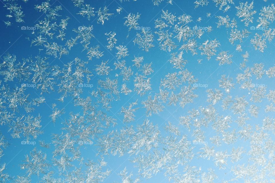 Frosty  pattern on window in winter