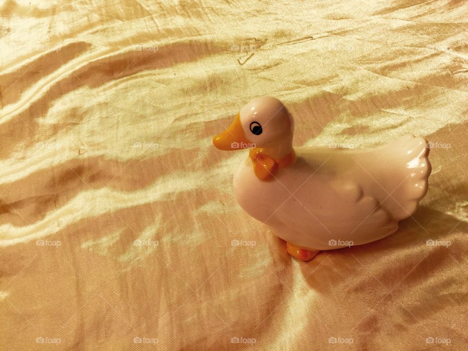 My duck