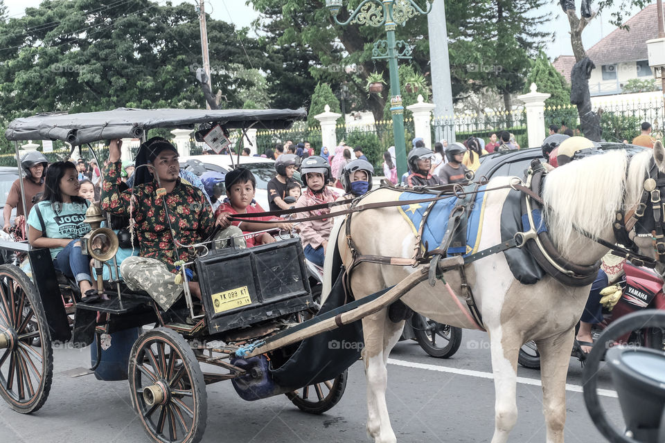 Carriage, People, Vehicle, Transportation System, Cart