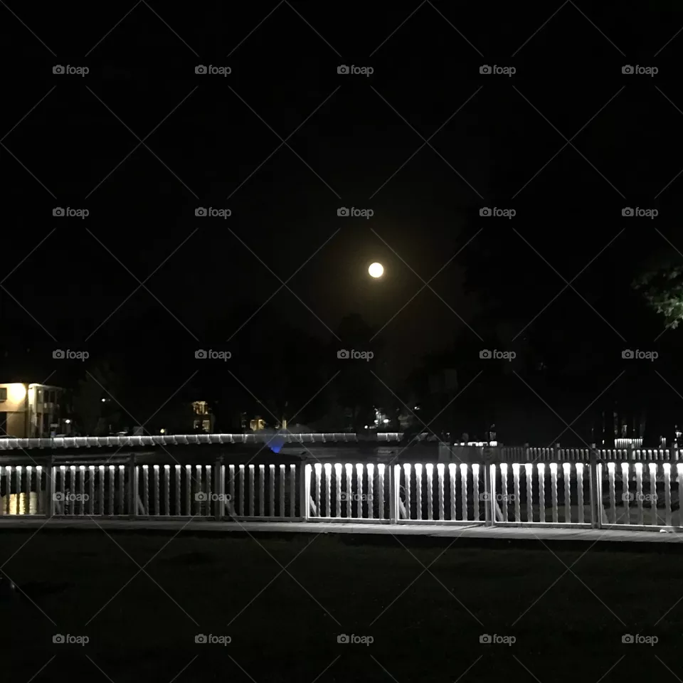Moonlight