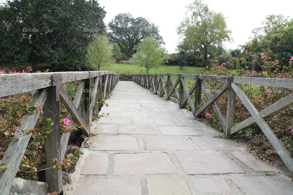 View of empty garden