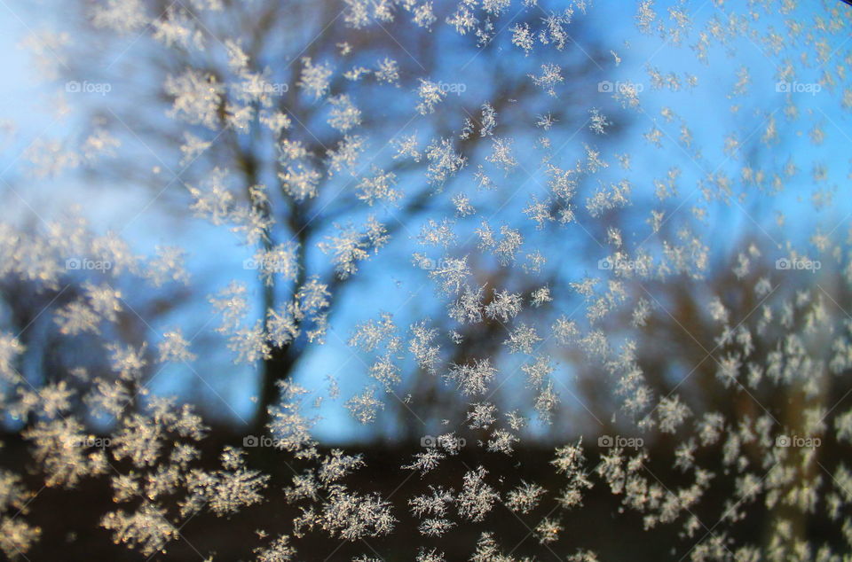 The view through window on snowy winter day