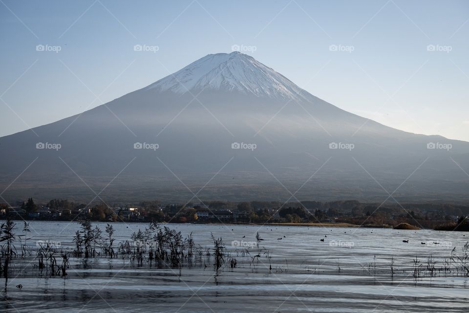 Fuji mountain and lake