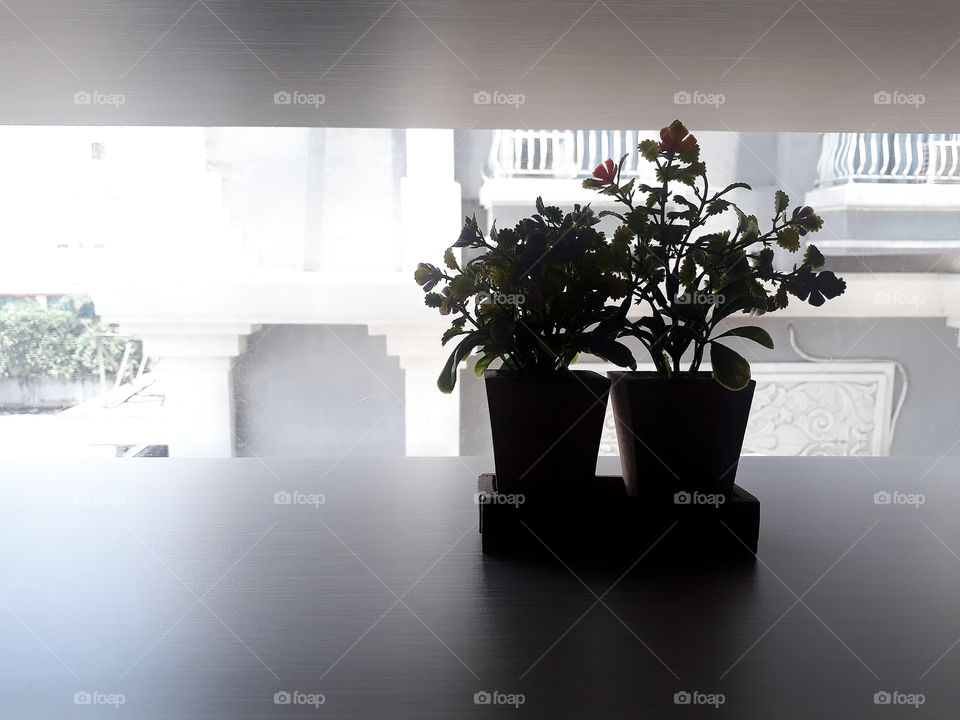 backlight in my window