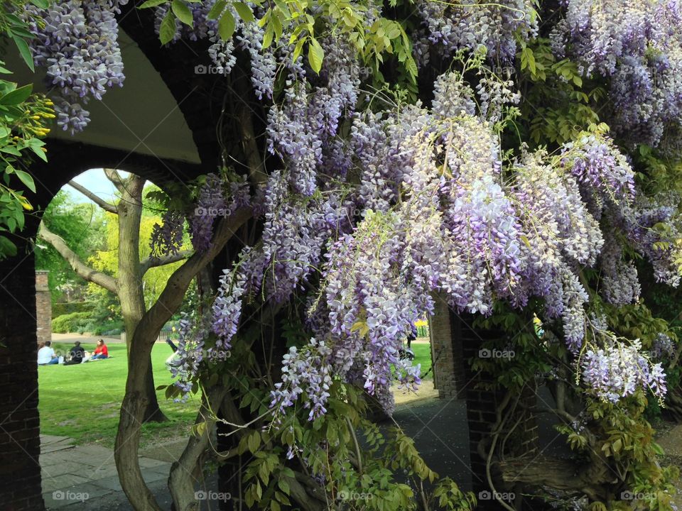 Arches. Holland park London