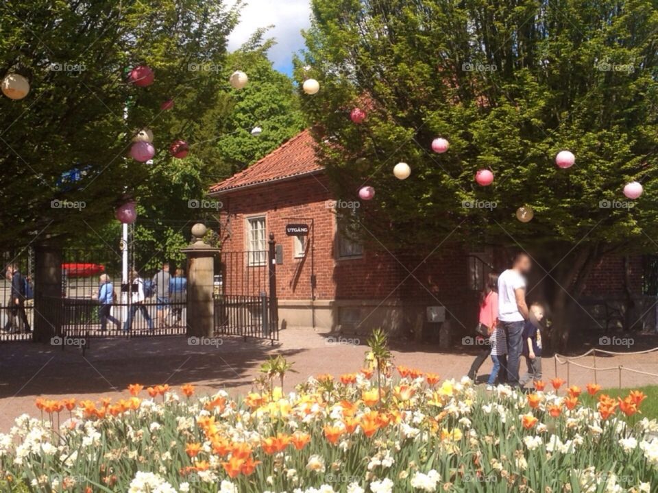 Spring in the botanical garden