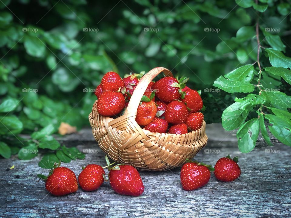 Summer fruits