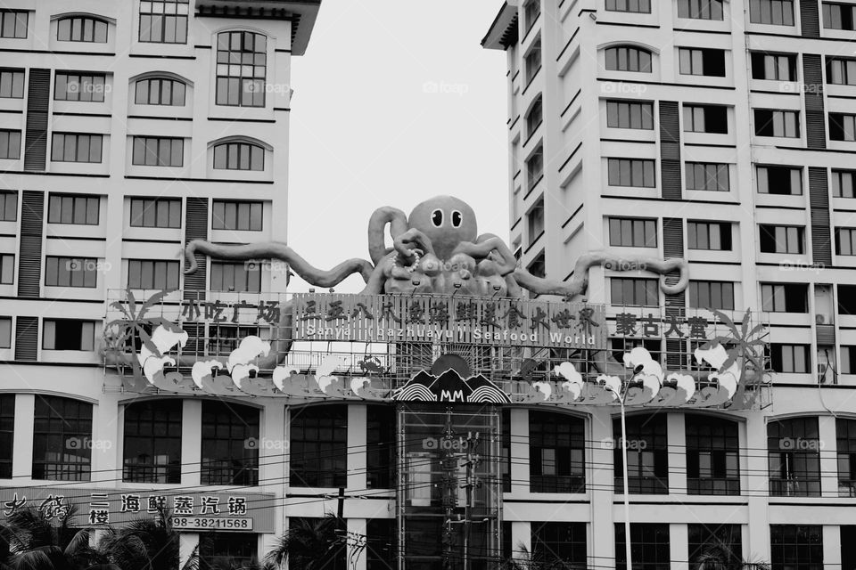 octopus design in a building