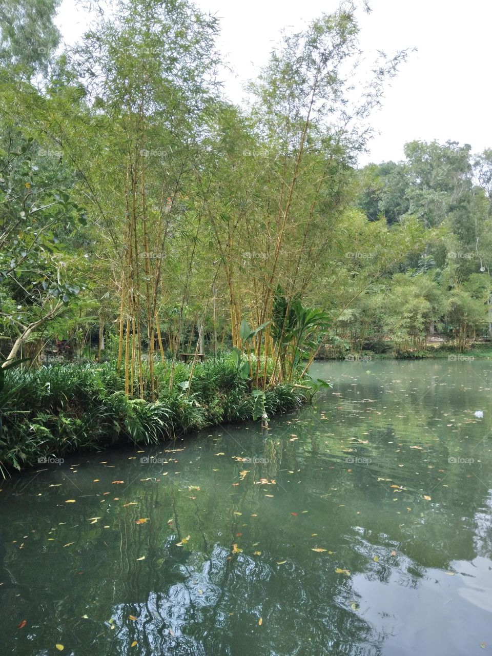 beautiful lake in East Java, Indonesia