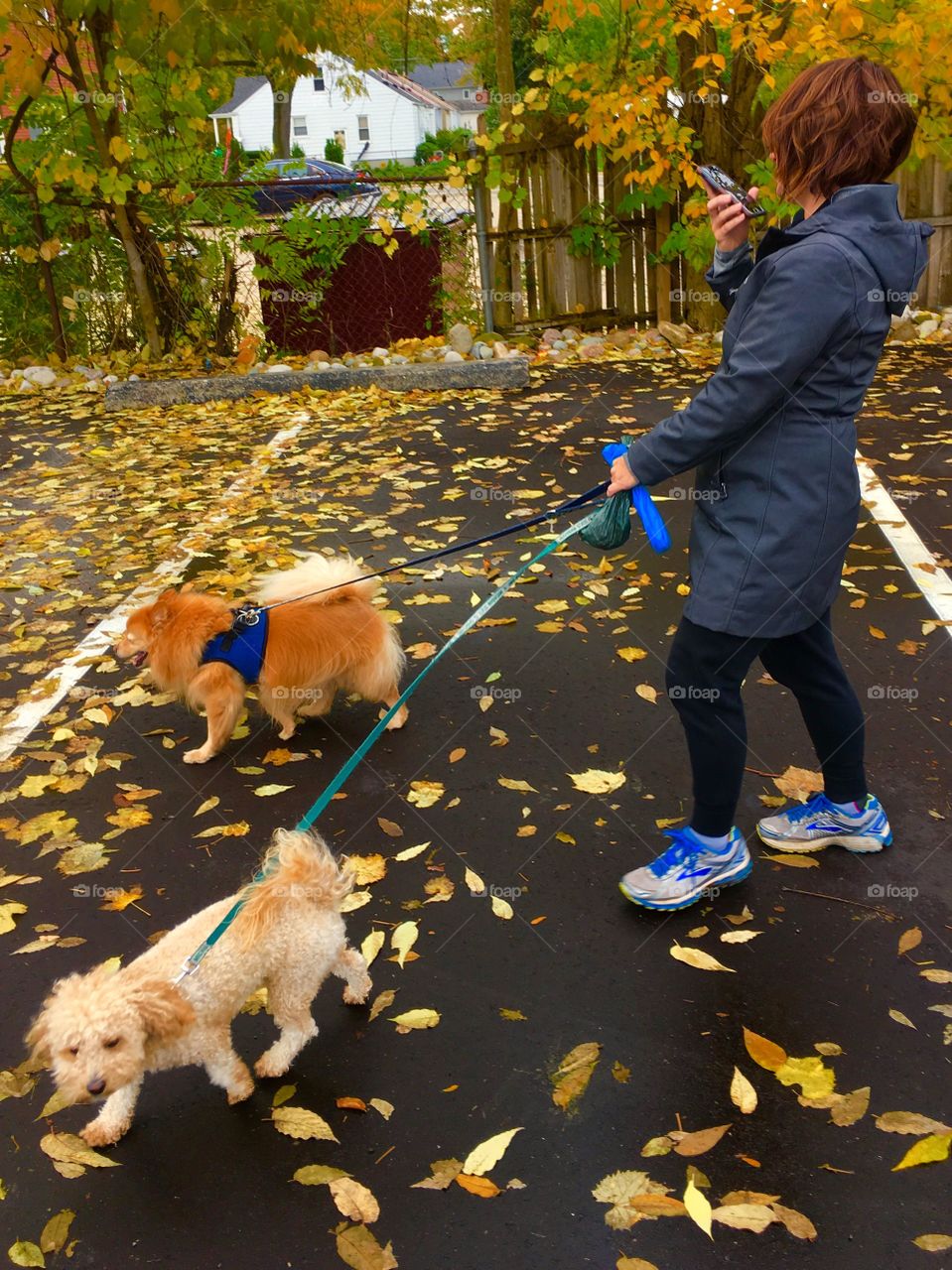 Walking the dogs AND checking the phone. Multitasking, a women's expertise. 