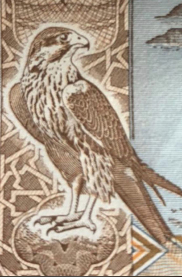 Falcon high