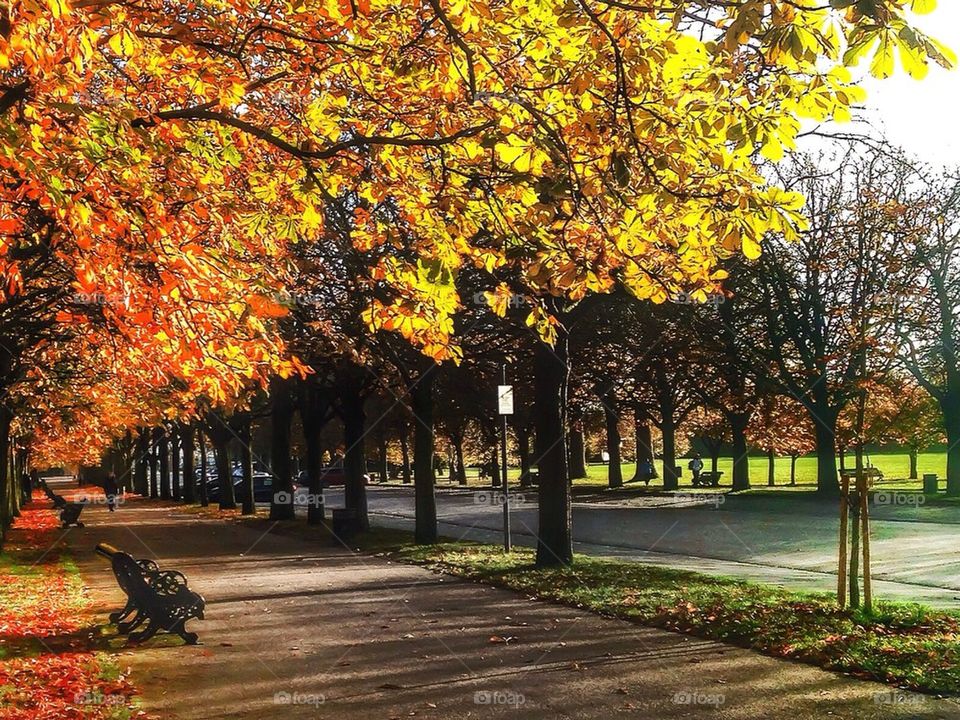 united kingdom park greenwich greenwich park by lateproject