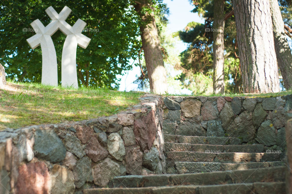 Stairs in the forest 