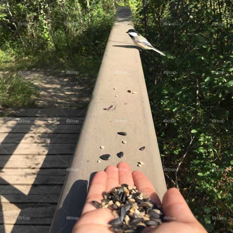 Outdoors, No Person, People, Road, Nature