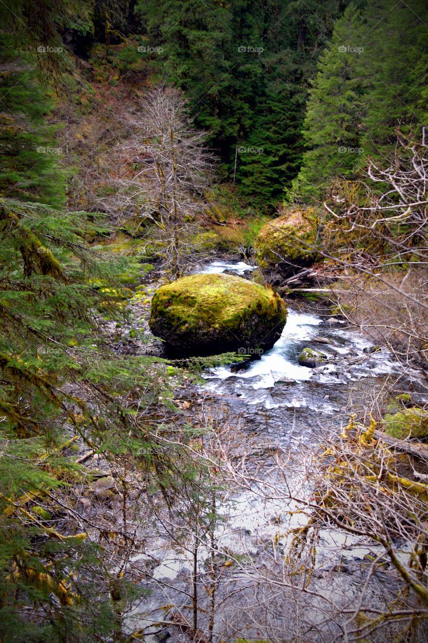 Eagle creek