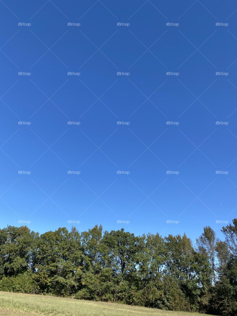 A beautiful Sunday afternoon blue sky 