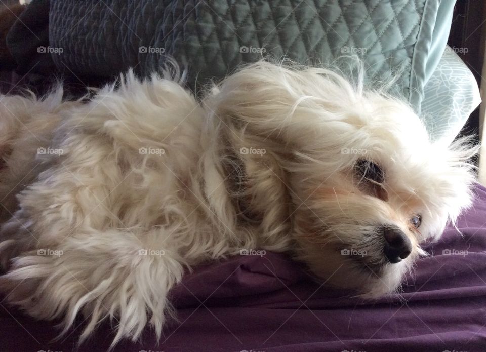 Cesar. He's super tired after a long ride from Louisiana:) 