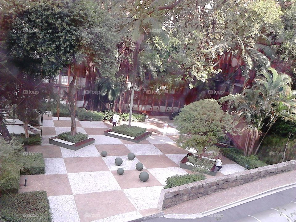 A C Camargo Hospital gardens,  São Paulo,  Brasil