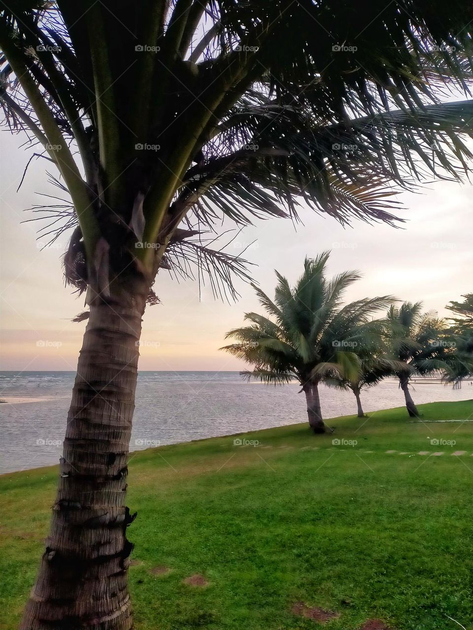 Sea view in the evening, seeing the sunlight