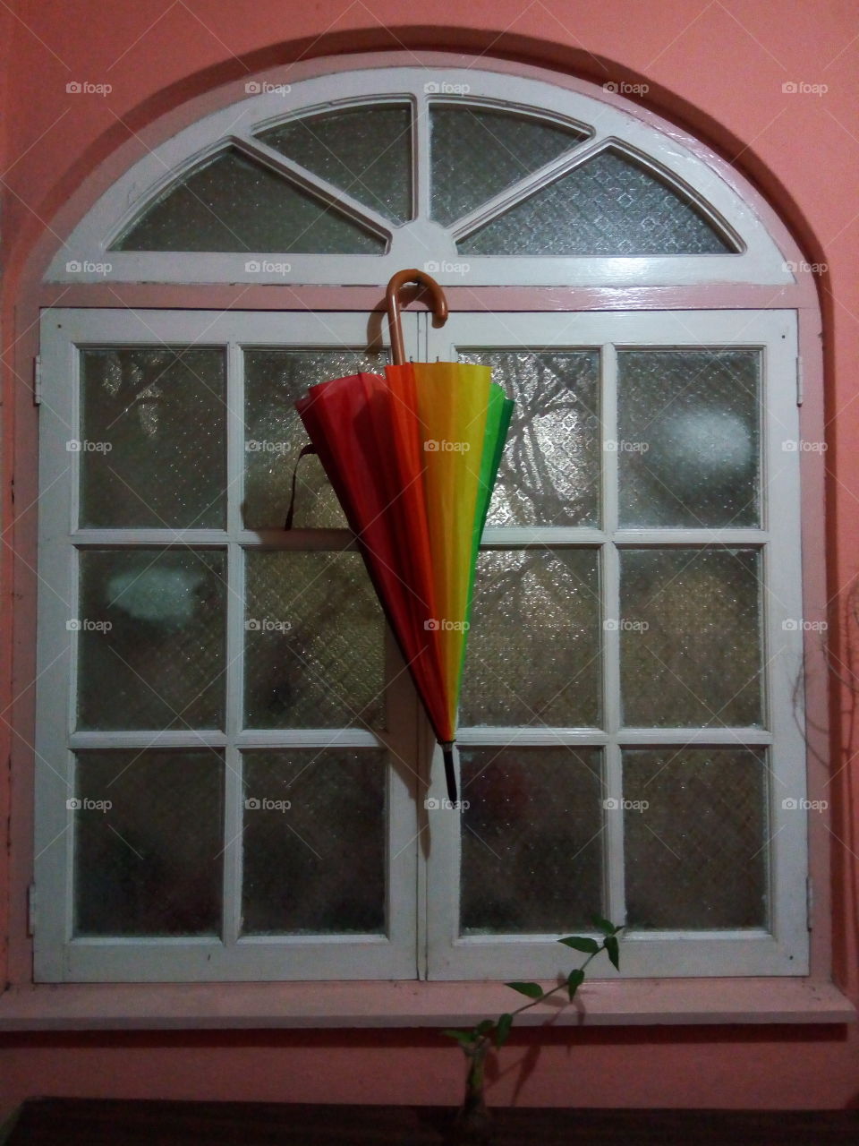 umbrella in the window