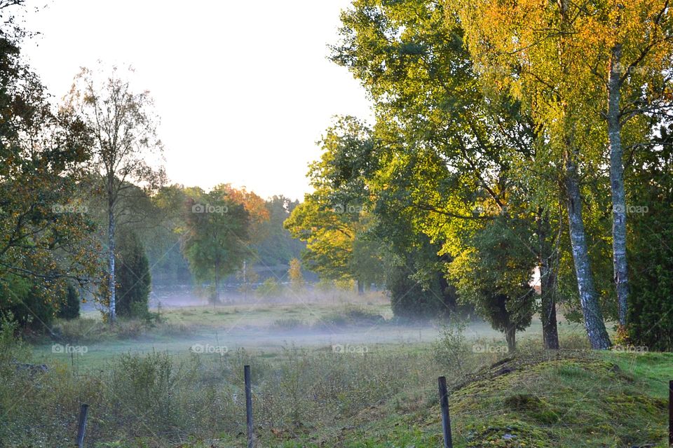 Autumn view